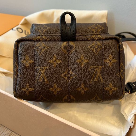 LOUIS VUITTON (LV) PALM SPRINGS MINI BACKPACK - Picture 6 of 14